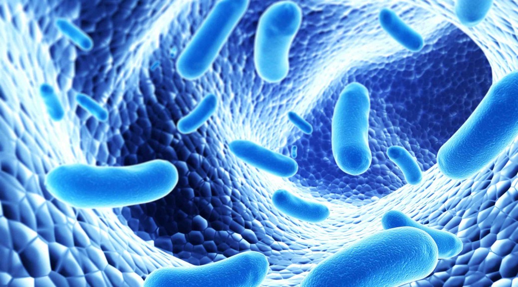 bacteria, human microbiome, gut bacteria, gut microbes