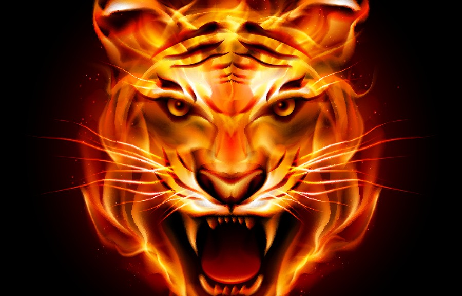tiger, head, flame