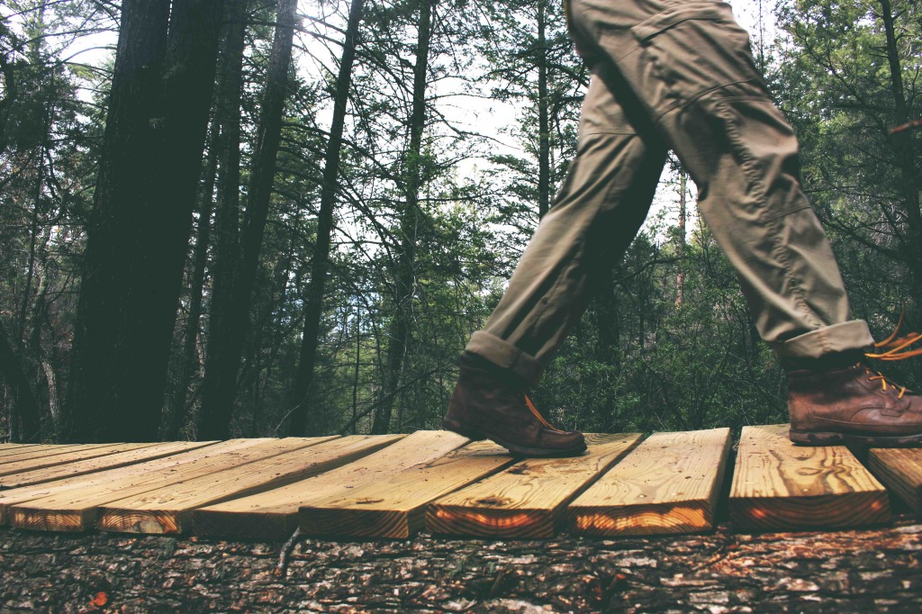 boardwalk, hiker