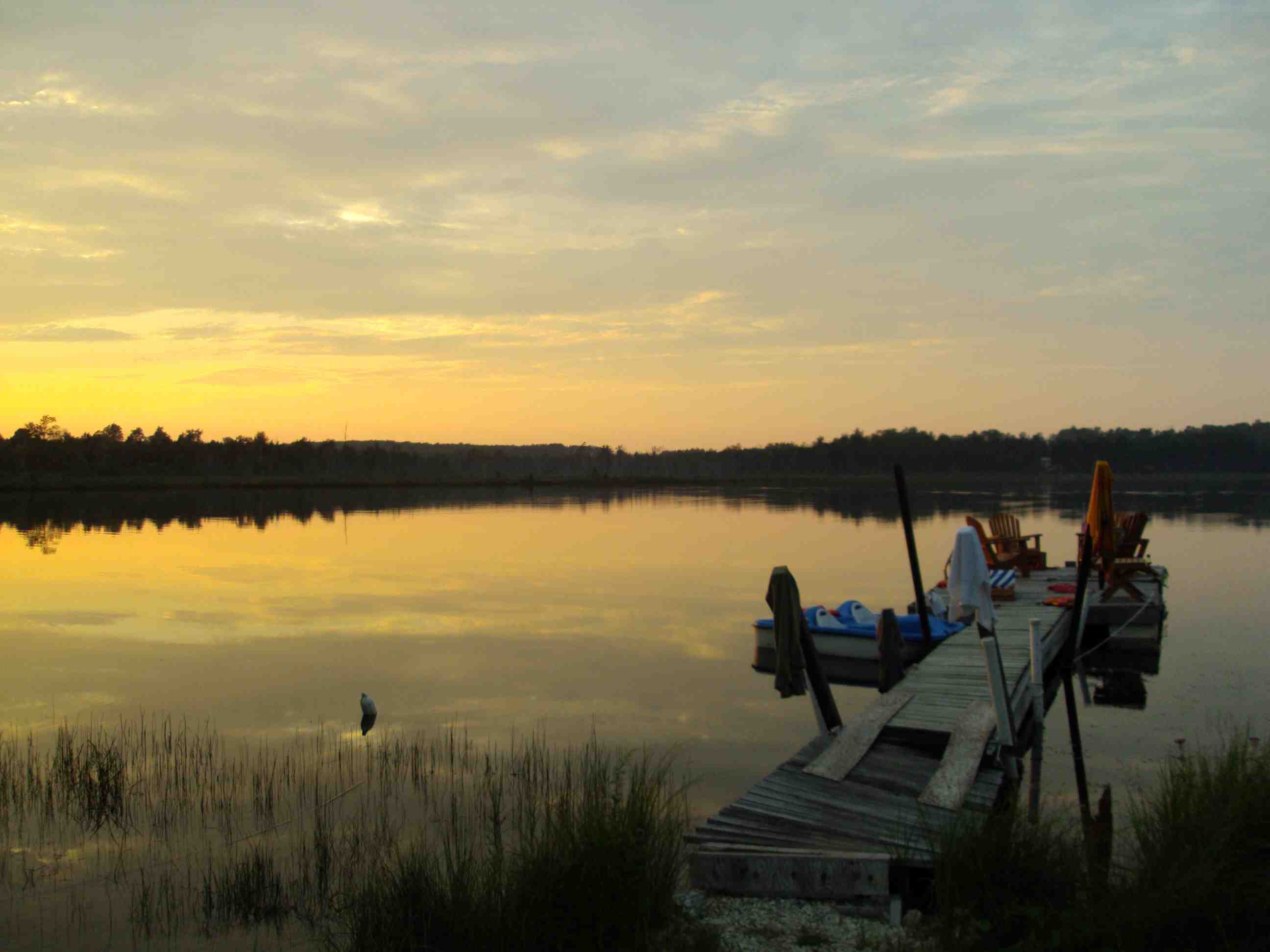 ontario, cottage, lake, lake townsend, nature