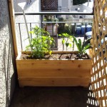 planter-in-place-sunny