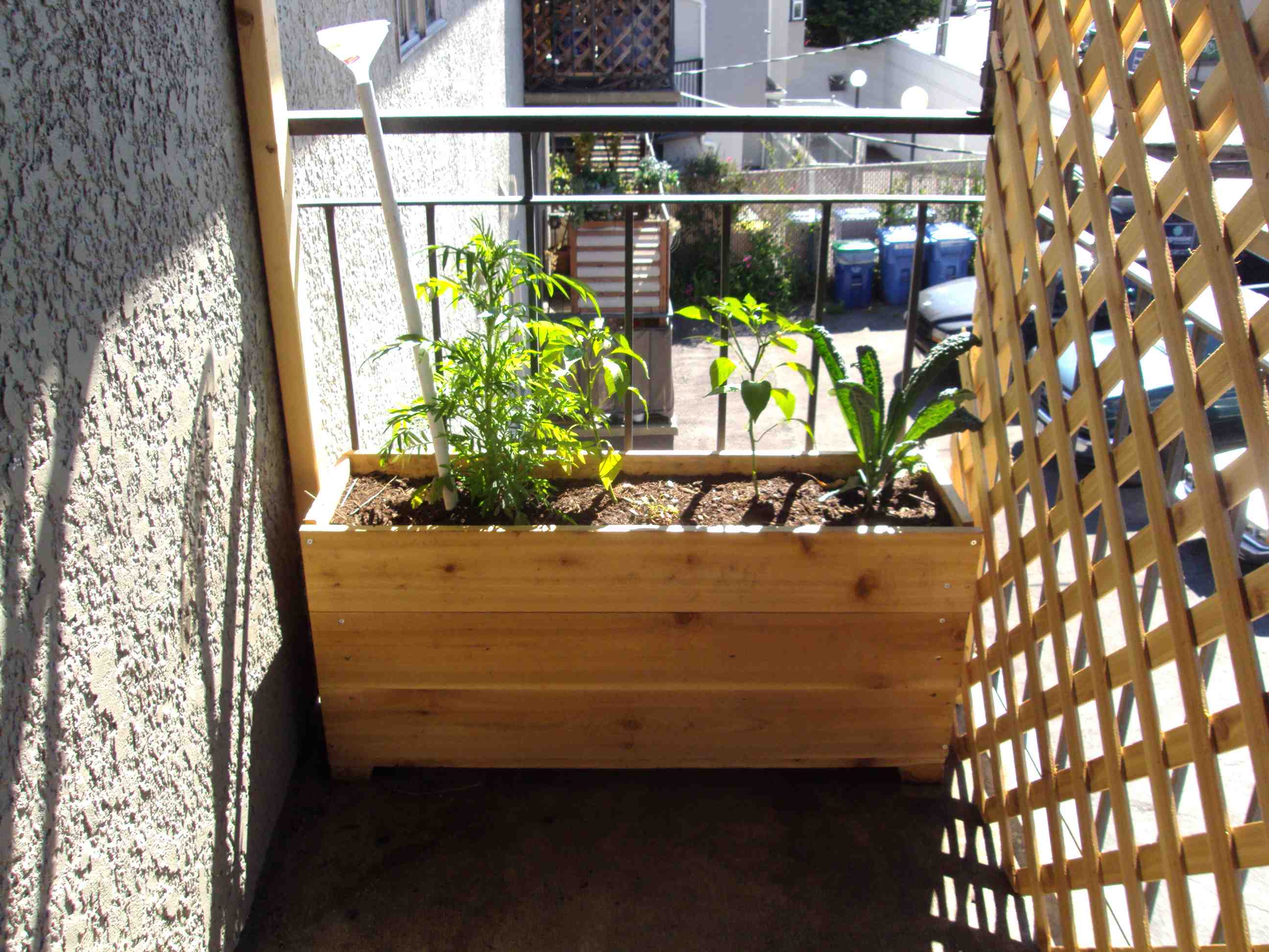 And there you have it! Bare wood lattice and planter, with live plants on top! The tube with a funnel is where you fill the basin from. It starts to leak out the drainage tube when it's full. 