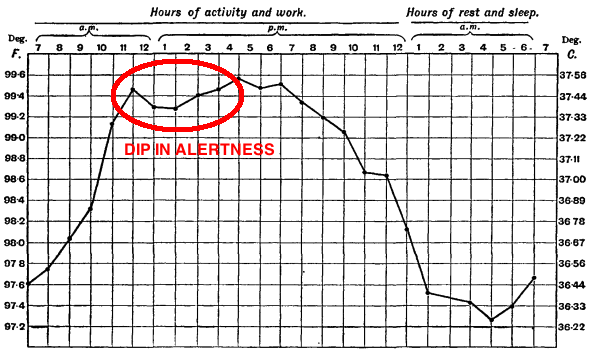 body temperature, power nap, variation, circadian rhythm