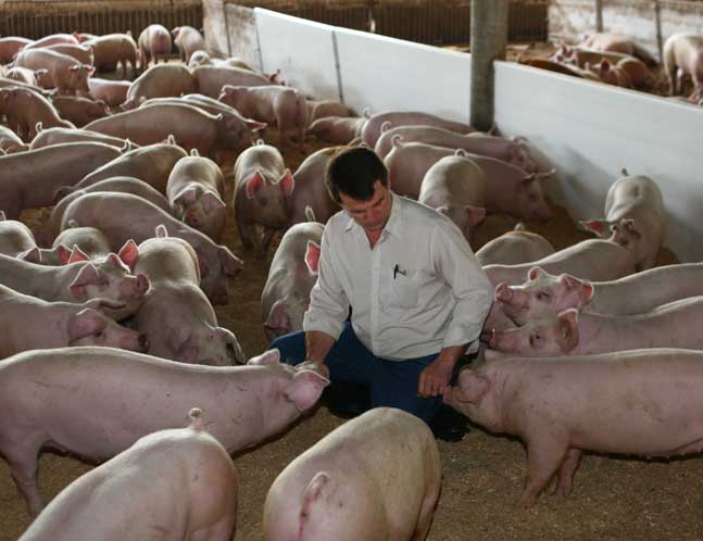 This man cares about his animals. 