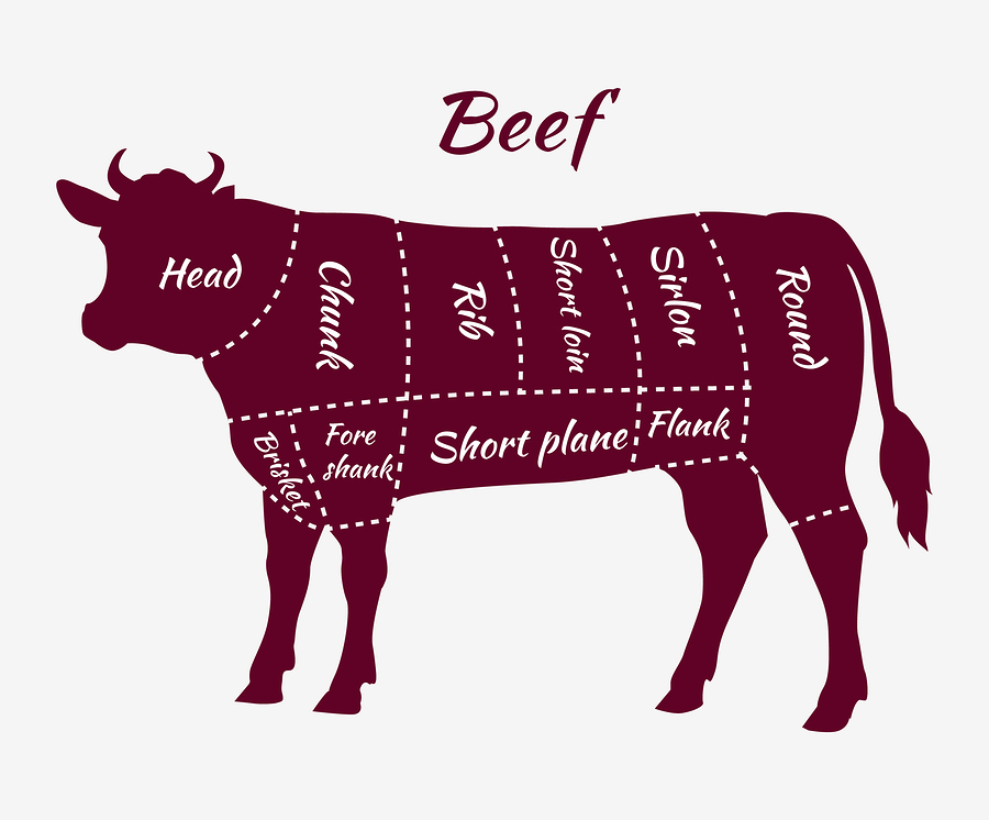 beef, cuts of beef, beef cuts diagram