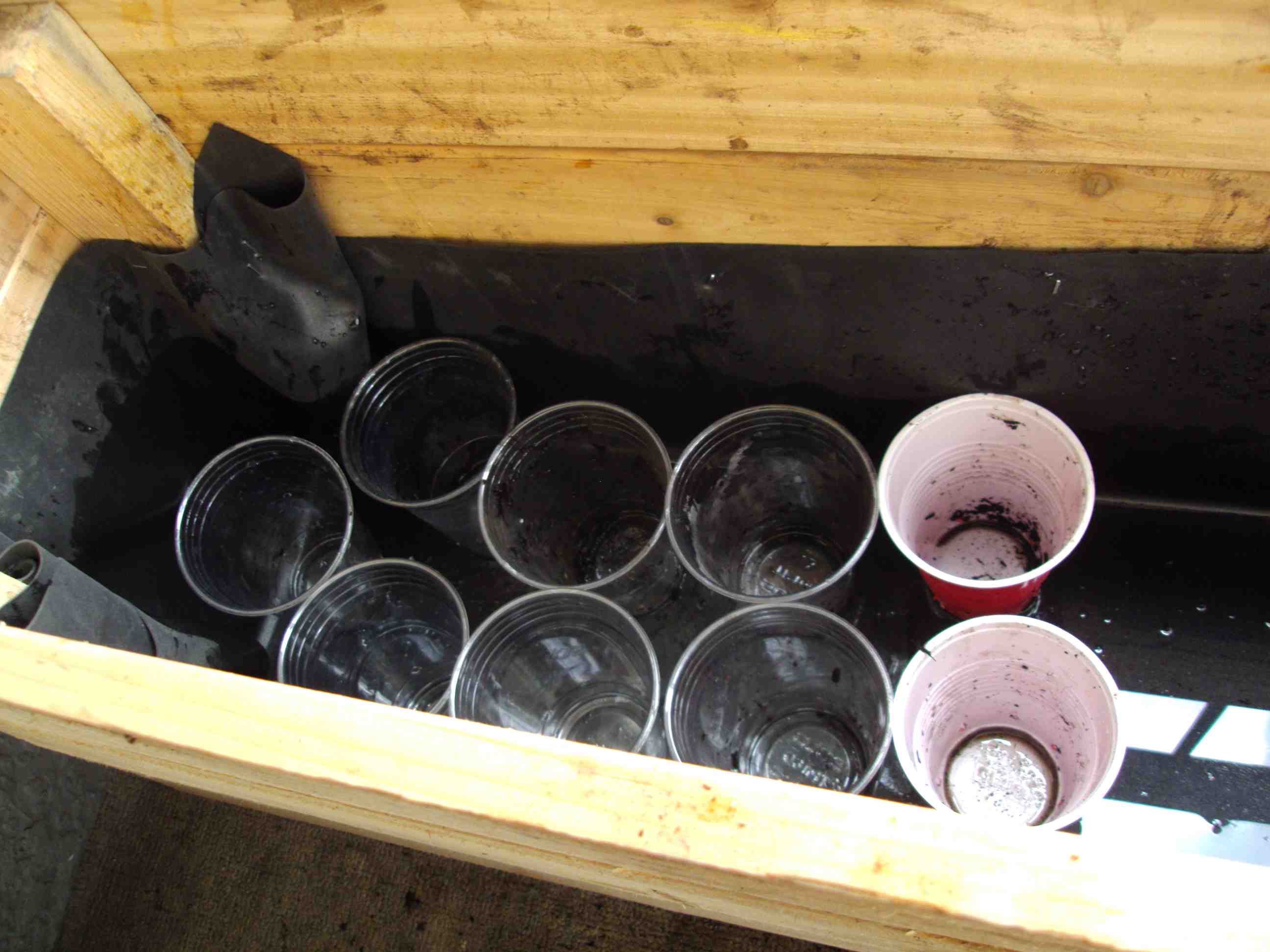 Here we have the cups in the basin. On top goes the mesh and (not photo'd) landscape cloth.